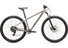 Specialized ROCKHOPPER SPORT KH L - 29 CLAY/BLACK LIQUID METAL
