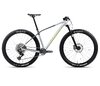 Orbea ALMA M21 M Halo Silver (Gloss) - Shark Grey (Matt)